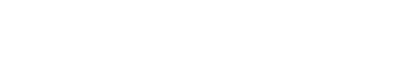 The VA Group